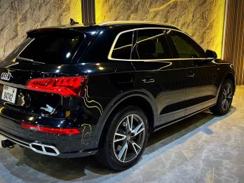 AUDI Q 5 E - tron Sline